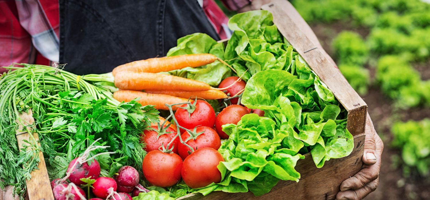 carrying a box of vegetables