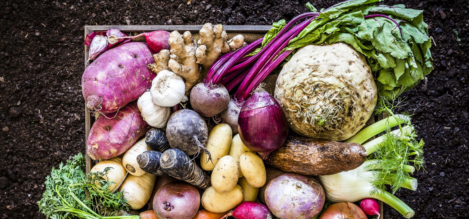 a variety of vegetables in a tray